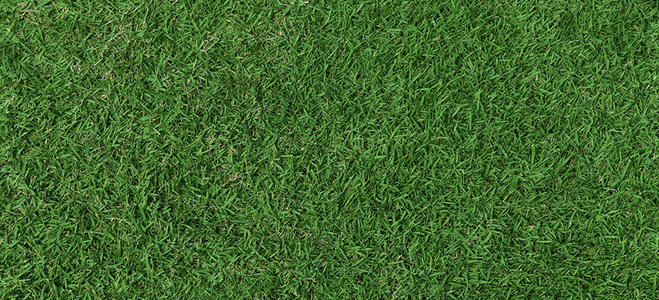 Grass background